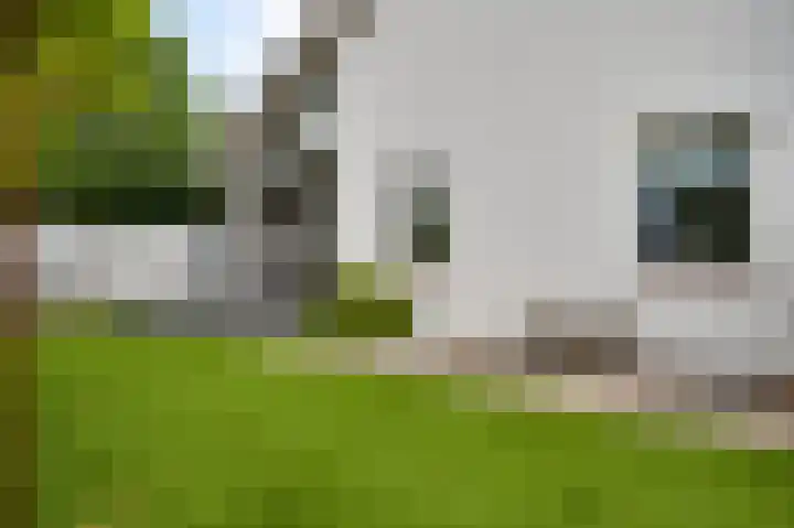 Schepenbank 55 Haelen thumbnail 36