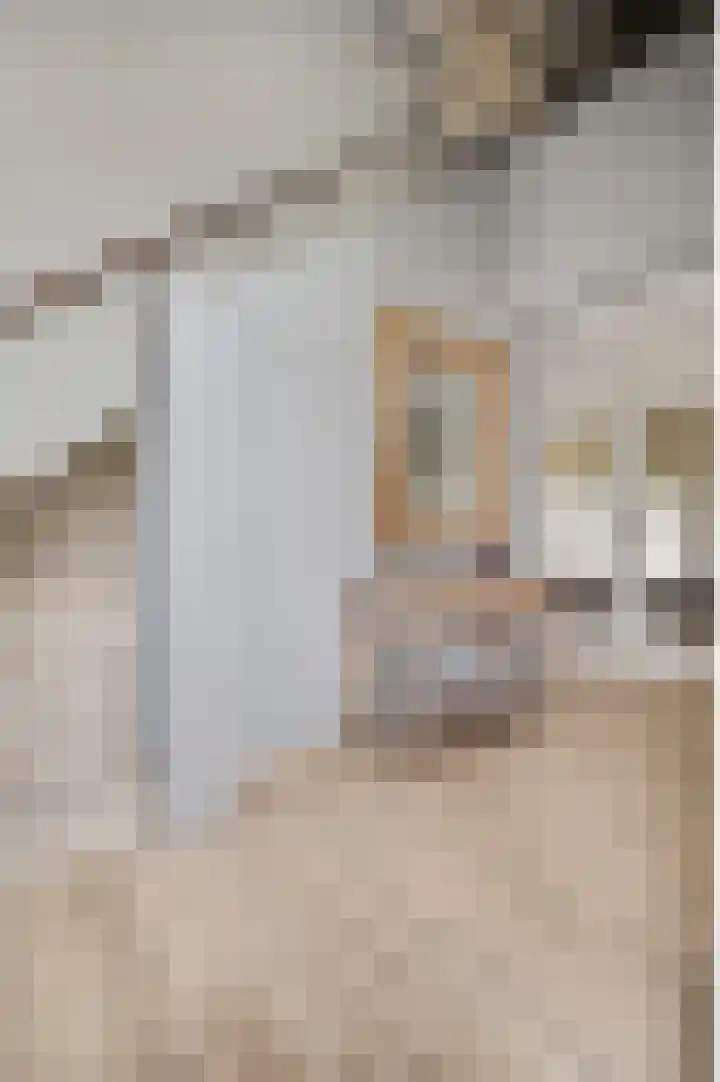Schepenbank 55 Haelen thumbnail 4
