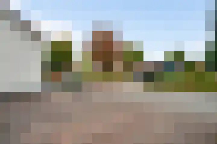 Schepenbank 55 Haelen thumbnail 42