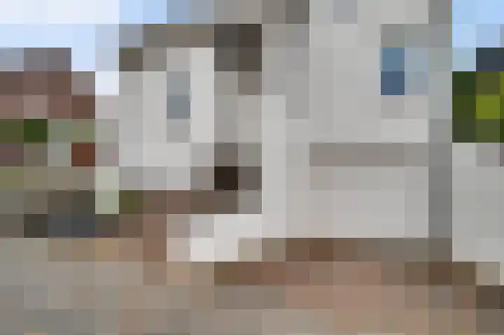 Schepenbank 55 Haelen thumbnail 44