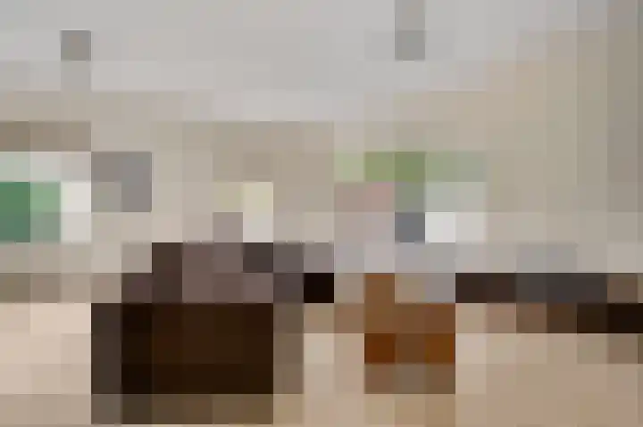Schepenbank 55 Haelen thumbnail 6