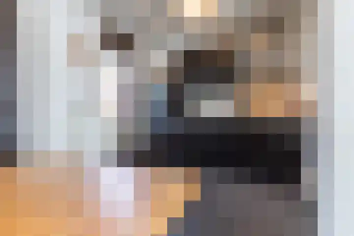 Schepenbank 6 Klimmen thumbnail 11