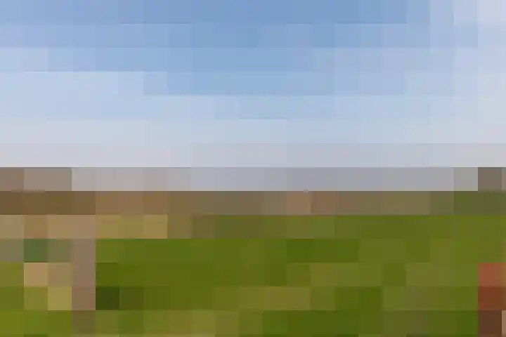 Schepenbank 6 Klimmen thumbnail 30