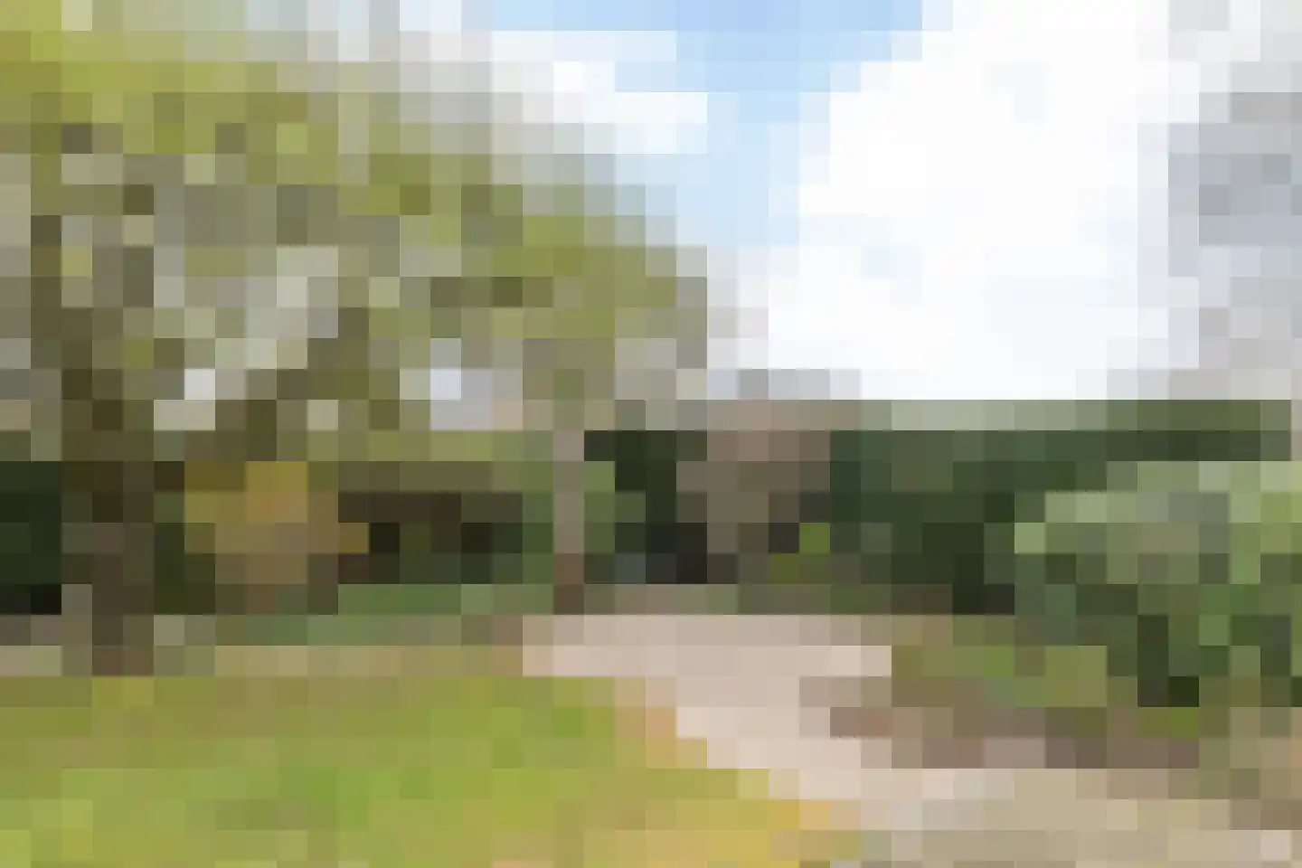 Schepenbank 9 Bemelen thumbnail 36