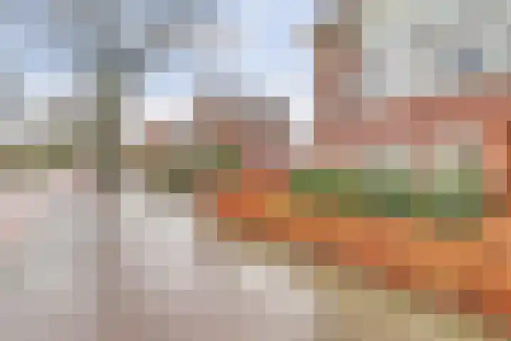 Schependomlaan 20 A Nijmegen thumbnail 32
