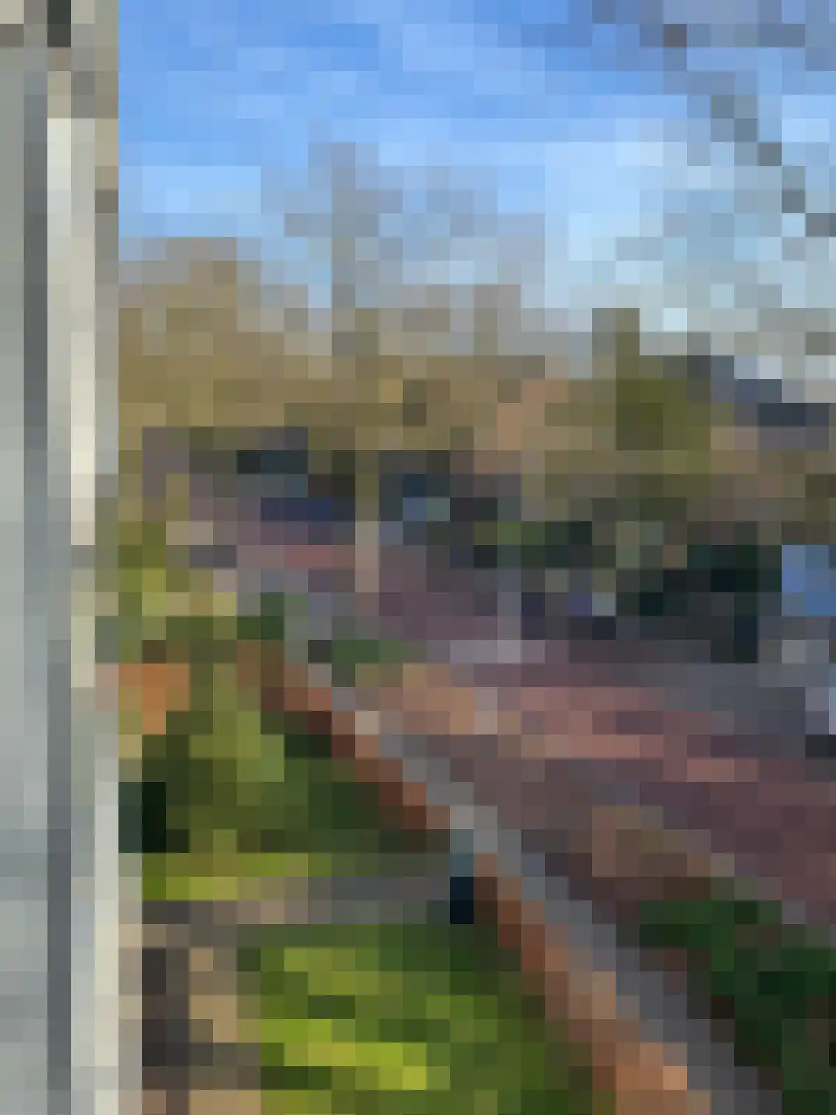 Schependomlaan 20 A Nijmegen thumbnail 7