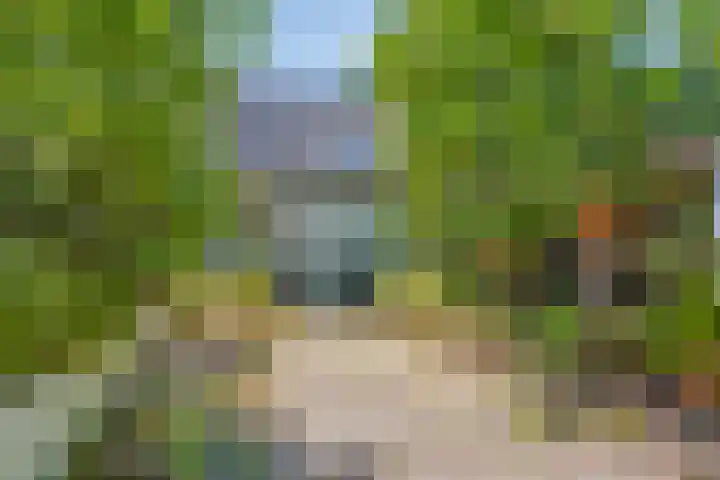 Schependomlaan 21 Nijmegen thumbnail 43