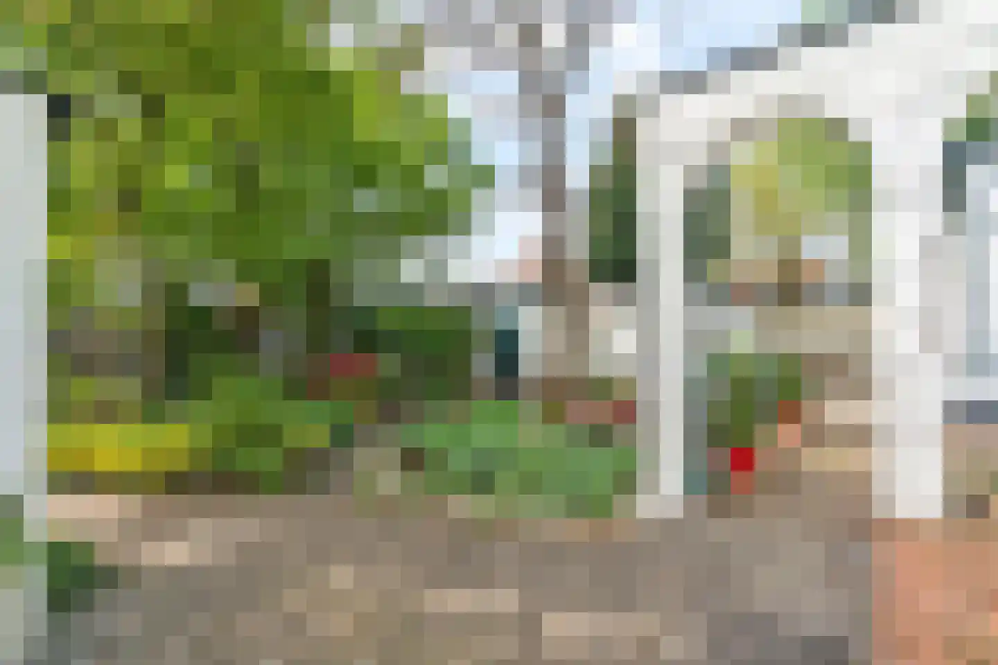 Schependomlaan 53 Nijmegen thumbnail 44