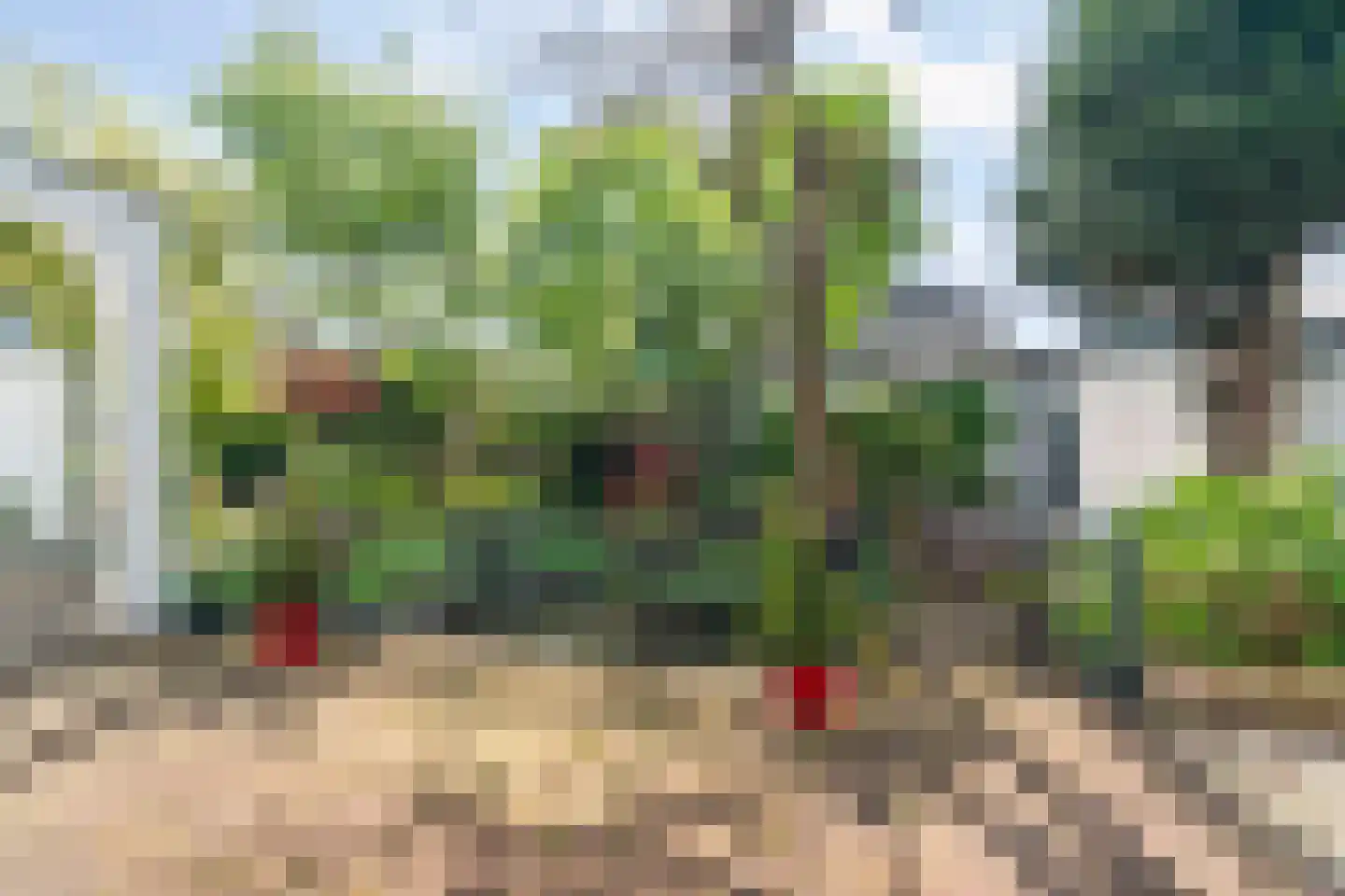 Schependomlaan 53 Nijmegen thumbnail 46