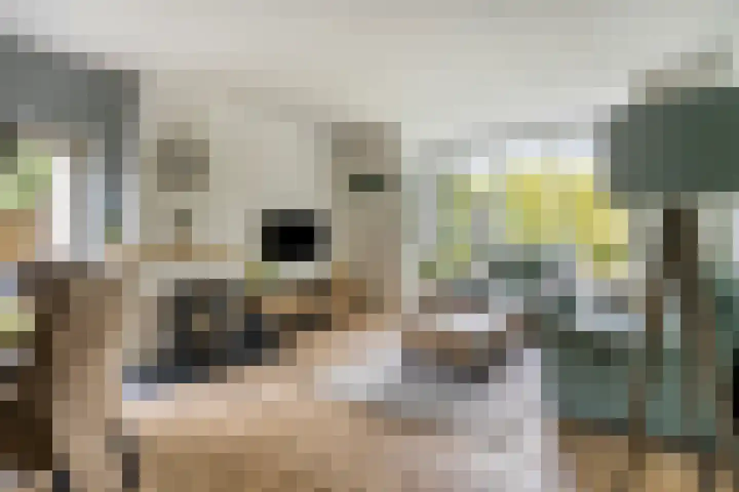 Schependomlaan 66 Nijmegen thumbnail 6