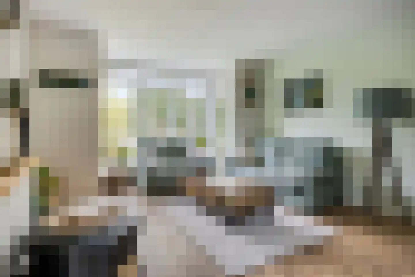 Schependomlaan 66 Nijmegen thumbnail 7