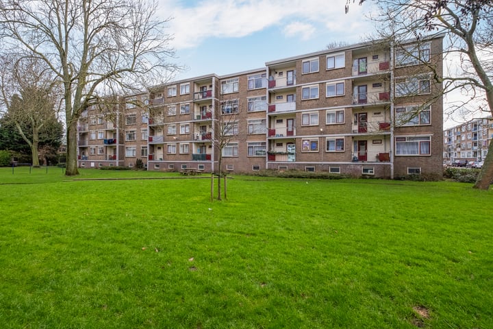 Schependreef 63 dans 's-Gravenhage photo