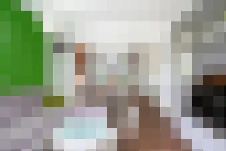 Schependreef 75 Den Haag thumbnail 10