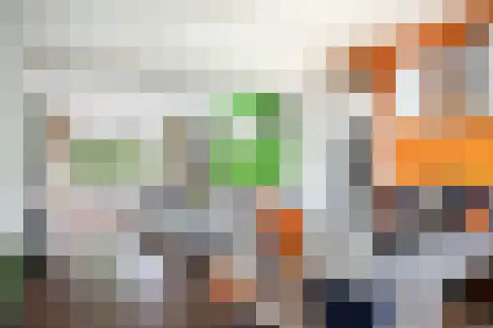 Schependreef 75 Den Haag thumbnail 12