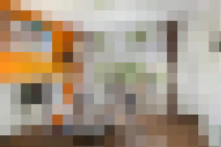 Schependreef 75 Den Haag thumbnail 13
