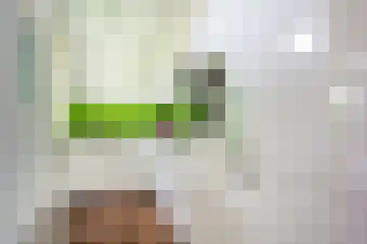 Schependreef 75 Den Haag thumbnail 14