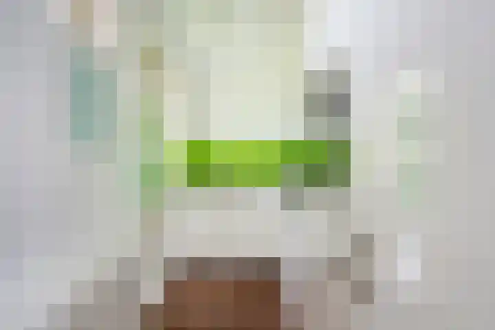 Schependreef 75 Den Haag thumbnail 15