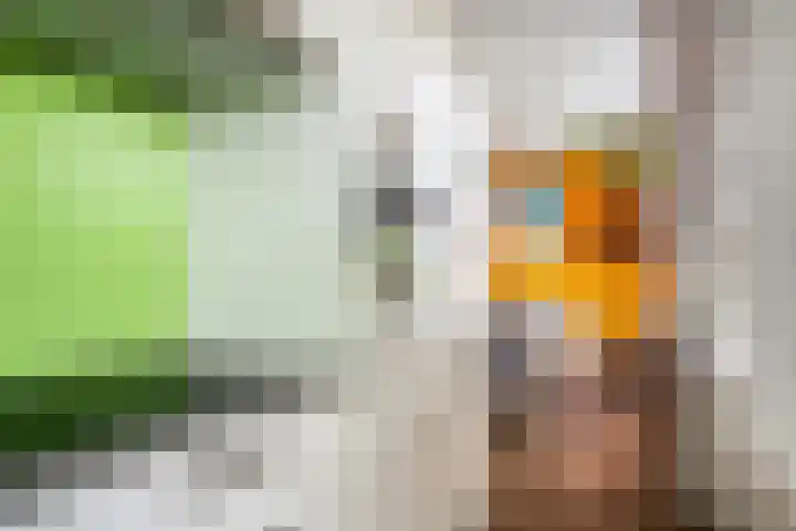 Schependreef 75 Den Haag thumbnail 16