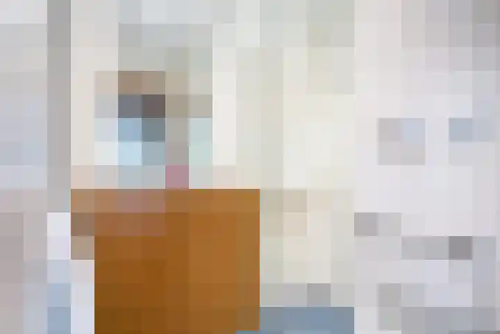 Schependreef 75 Den Haag thumbnail 17