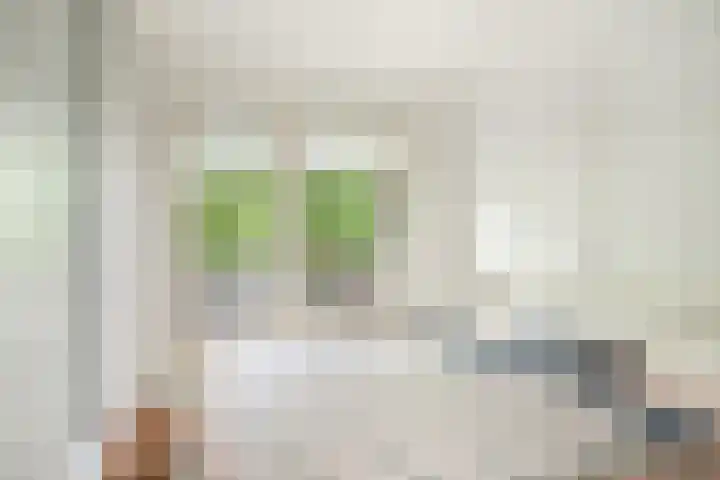 Schependreef 75 Den Haag thumbnail 19