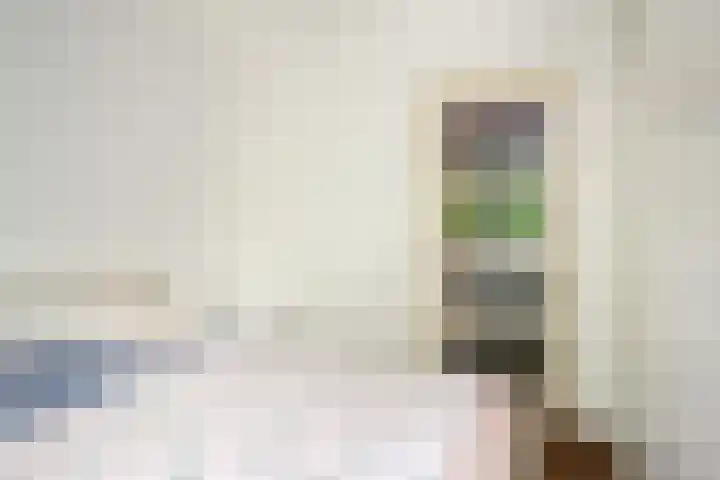 Schependreef 75 Den Haag thumbnail 20