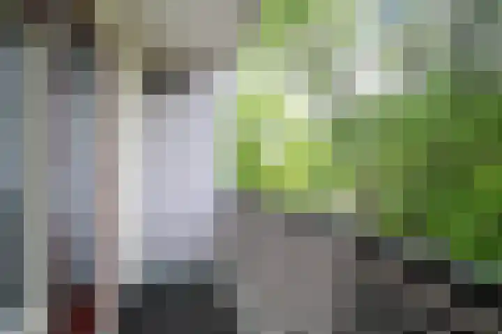 Schependreef 75 Den Haag thumbnail 23