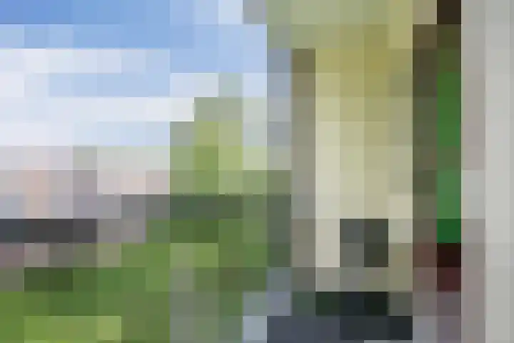 Schependreef 75 Den Haag thumbnail 26