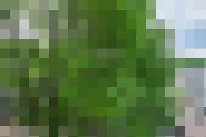 Schependreef 75 Den Haag thumbnail 27