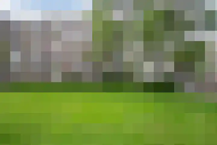 Schependreef 75 Den Haag thumbnail 30