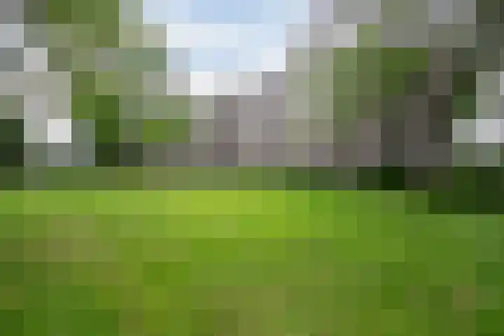 Schependreef 75 Den Haag thumbnail 31