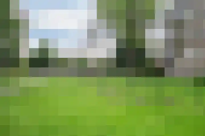 Schependreef 75 Den Haag thumbnail 32