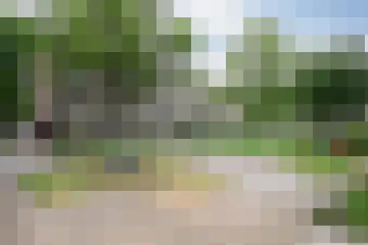 Schependreef 75 Den Haag thumbnail 33