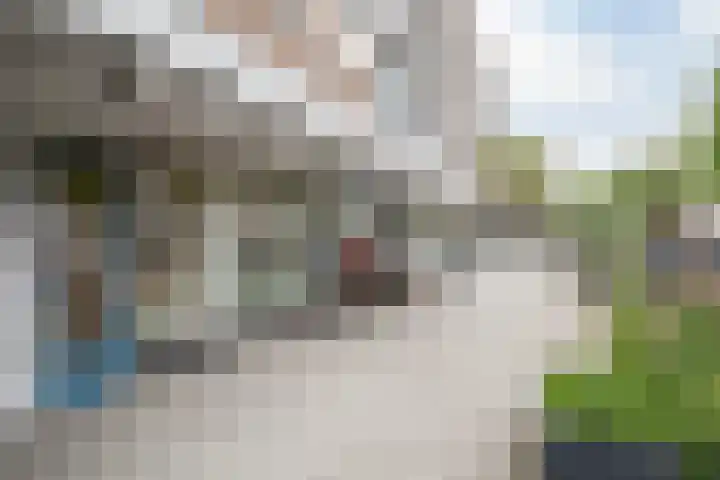 Schependreef 75 Den Haag thumbnail 34