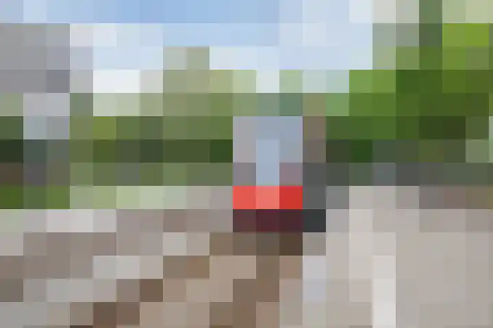 Schependreef 75 Den Haag thumbnail 35