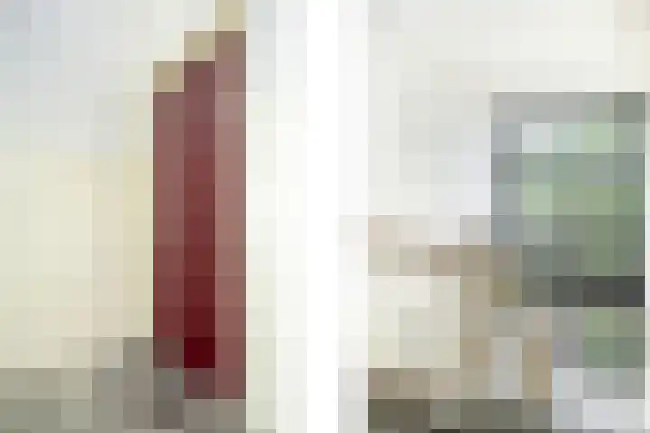 Schependreef 75 Den Haag thumbnail 5
