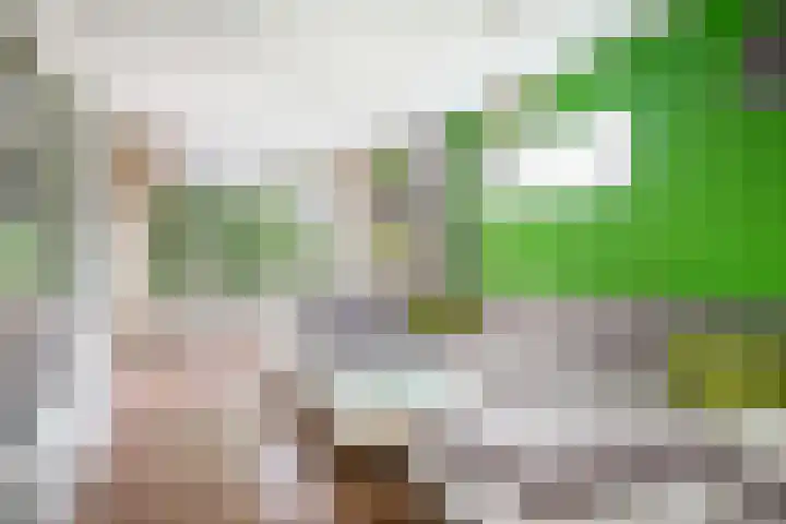 Schependreef 75 Den Haag thumbnail 8