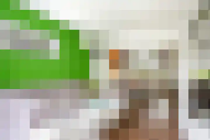 Schependreef 75 Den Haag thumbnail 9