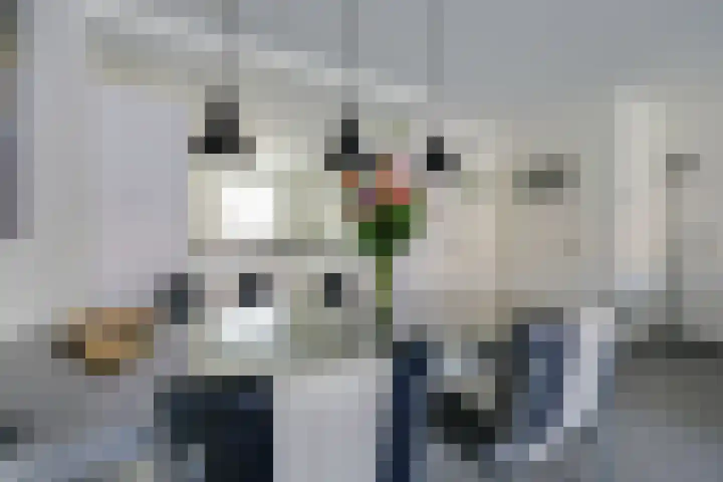 Schepenen 14 Naarden thumbnail 11