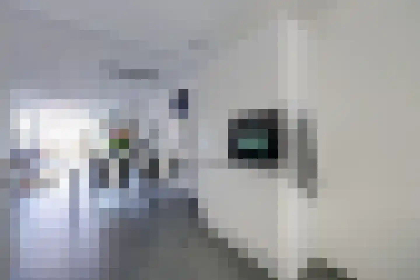 Schepenen 14 Naarden thumbnail 17