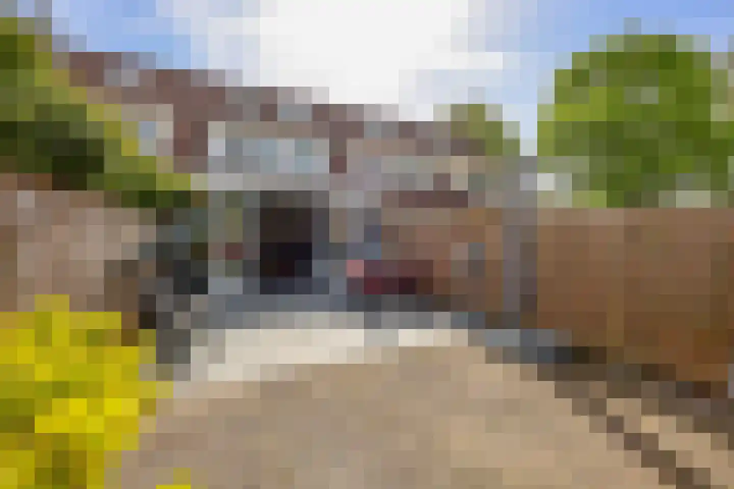 Schepenen 14 Naarden thumbnail 43