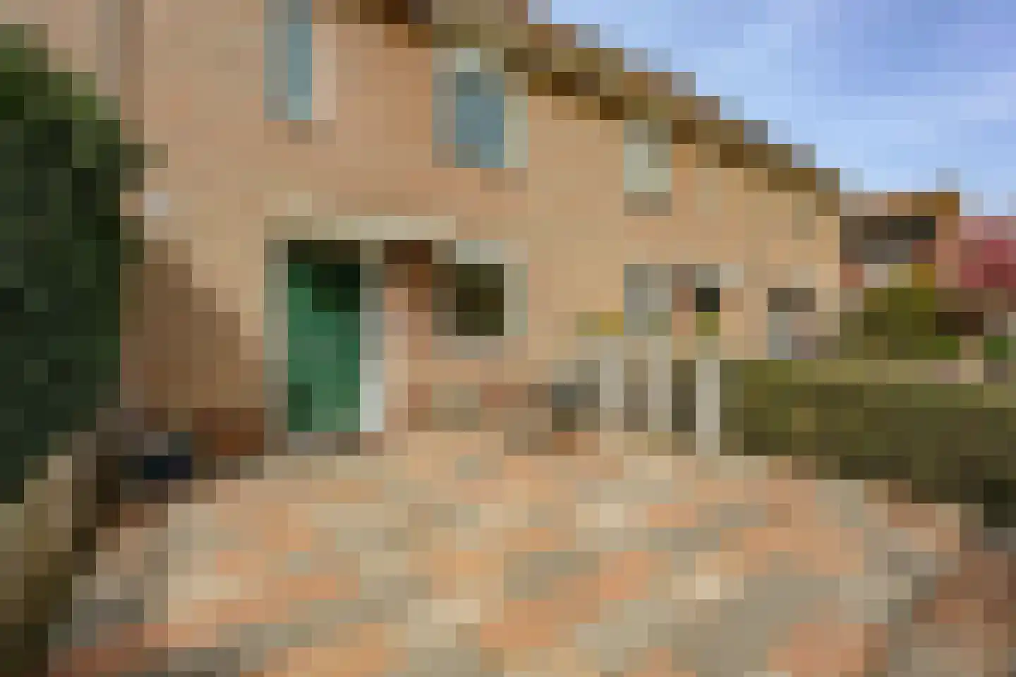 Schepenen 14 Naarden thumbnail 46