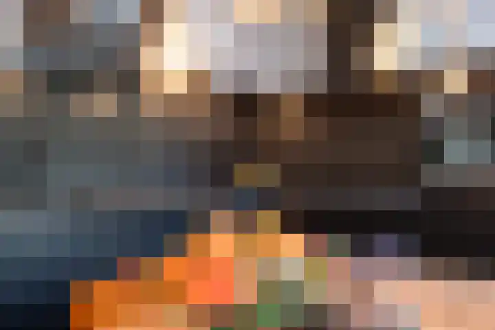 Schepenen 14 Wijk bij Duurstede thumbnail 14