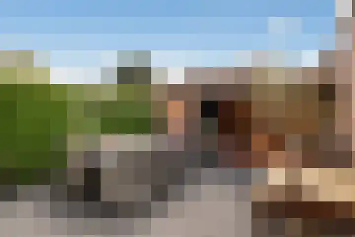 Schepenen 14 Wijk bij Duurstede thumbnail 27