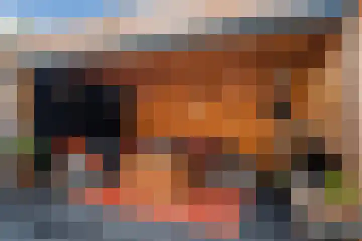 Schepenen 14 Wijk bij Duurstede thumbnail 28