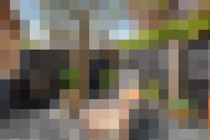 Schepenen 14 Wijk bij Duurstede thumbnail 30