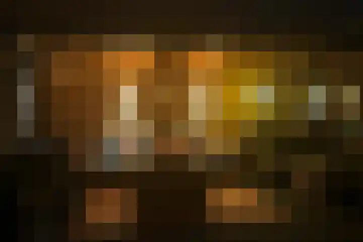 Schepenen 14 Wijk bij Duurstede thumbnail 37