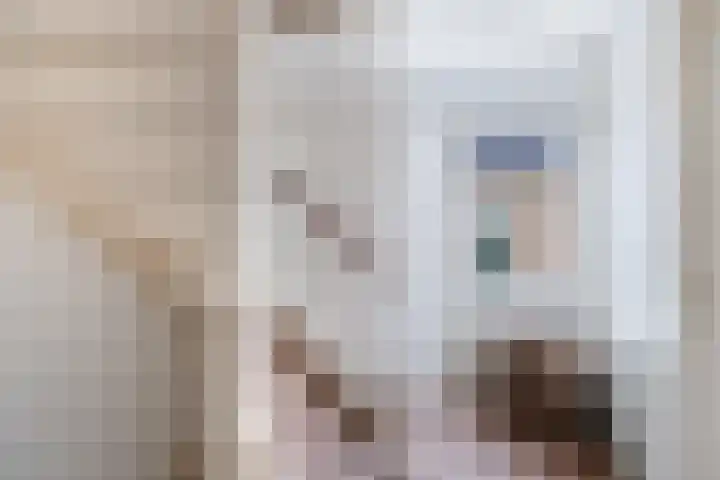 Schepenen 14 Wijk bij Duurstede thumbnail 38