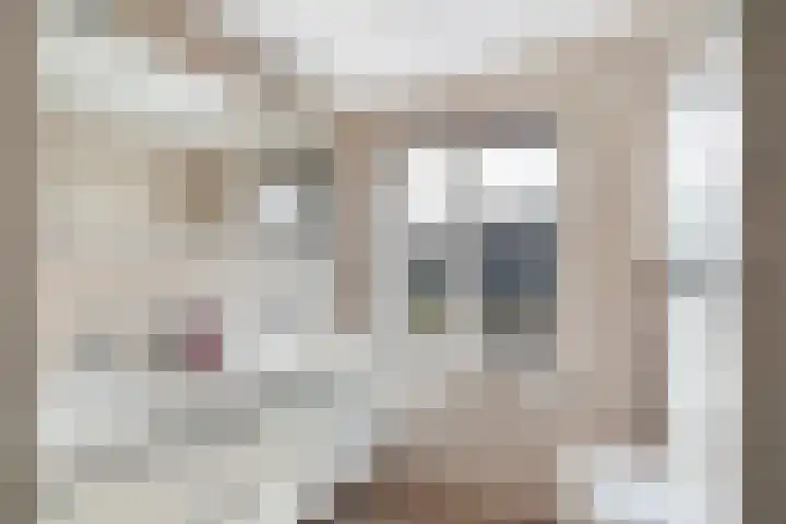 Schepenen 14 Wijk bij Duurstede thumbnail 46