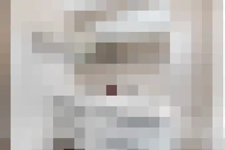 Schepenen 14 Wijk bij Duurstede thumbnail 48