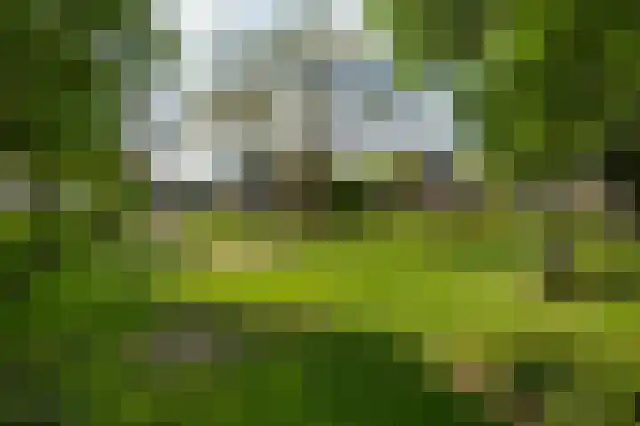 Schepenen 14 Wijk bij Duurstede thumbnail 57